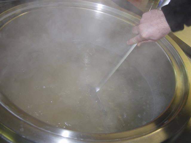 oursinade 2008-09-46.jpg